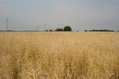pic01