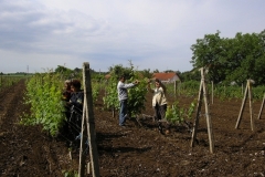 pic03